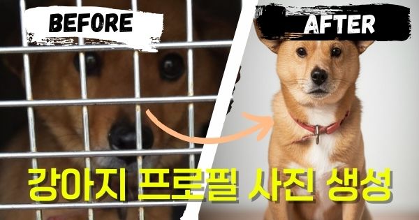 미스트랜드 메인 배너 - 유기묘 입양 시작하기